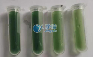 美超微量超聲波細(xì)胞破碎儀破碎微囊藻實(shí)驗